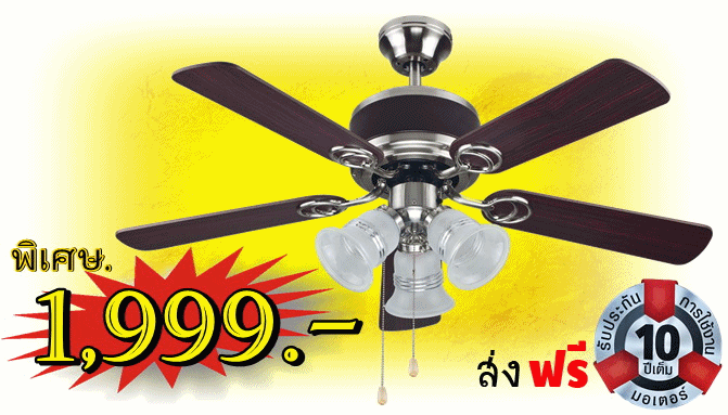 พัดลม 1999 คลิกเลย!